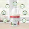 Ginger Lily Farms Botanicals Nourishing Body Wash, Eucalyptus Tranquility, 100% Vegan & Cruelty-Free, 1 Gallon (Pack of 4)(Apple Pear)