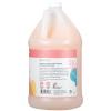 Ginger Lily Farms Botanicals Nourishing Body Wash, Eucalyptus Tranquility, 100% Vegan & Cruelty-Free, 1 Gallon (Pack of 4)(Champagne Mimosa)