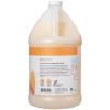 Ginger Lily Farms Botanicals Nourishing Body Wash, Eucalyptus Tranquility, 100% Vegan & Cruelty-Free, 1 Gallon (Pack of 4)(Coco Mango)