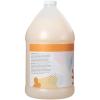 Ginger Lily Farms Botanicals Nourishing Body Wash, Eucalyptus Tranquility, 100% Vegan & Cruelty-Free, 1 Gallon (Pack of 4)(Coco Mango)
