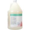 Ginger Lily Farms Botanicals Nourishing Body Wash, Eucalyptus Tranquility, 100% Vegan & Cruelty-Free, 1 Gallon (Pack of 4)(Eucalyptus Tranquility)