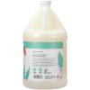 Ginger Lily Farms Botanicals Nourishing Body Wash, Eucalyptus Tranquility, 100% Vegan & Cruelty-Free, 1 Gallon (Pack of 4)(Eucalyptus Tranquility)