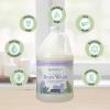 Ginger Lily Farms Botanicals Nourishing Body Wash, Eucalyptus Tranquility, 100% Vegan & Cruelty-Free, 1 Gallon (Pack of 4)(Lavender Chamomile)