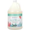 Ginger Lily Farms Botanicals Nourishing Body Wash, Eucalyptus Tranquility, 100% Vegan & Cruelty-Free, 1 Gallon (Pack of 4)(Eucalyptus Tranquility)