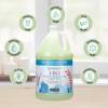 Ginger Lily Farms Botanicals 3-in-1 Shampoo, Conditioner & Body Wash, Island Tranquility, 100% Vegan & Cruelty-Free, Green Tea & Lemongrass Scent, 1 Gallon (128 fl oz) Refill(Island Tranquility)