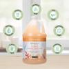 Ginger Lily Farms Botanicals 3-in-1 Shampoo, Conditioner & Body Wash, Island Tranquility, 100% Vegan & Cruelty-Free, Green Tea & Lemongrass Scent, 1 Gallon (128 fl oz) Refill(Coco Mango)