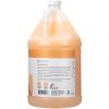 Ginger Lily Farms Botanicals 3-in-1 Shampoo, Conditioner & Body Wash, Island Tranquility, 100% Vegan & Cruelty-Free, Green Tea & Lemongrass Scent, 1 Gallon (128 fl oz) Refill(Coco Mango)