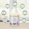 Ginger Lily Farms Botanicals 3-in-1 Shampoo, Conditioner & Body Wash, Island Tranquility, 100% Vegan & Cruelty-Free, Green Tea & Lemongrass Scent, 1 Gallon (128 fl oz) Refill(Fragrance Free)