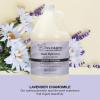 Ginger Lily Farms Botanicals Shea Indulgence Deep Hydration Body Wash, Island Tranquility, 100% Vegan & Cruelty-Free, Green Tea & Lemongrass Scent, 1 Gallon (128 fl oz) Refill(Lavender Chamomile)