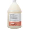Ginger Lily Farms Salon Formula FrizzFreeze Pro Anti-Frizz Shampoo for Frizzy Hair, 100% Vegan & Cruelty-Free, 1 Gallon (128 fl oz) Refill