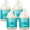 Ginger Lily Farms Salon Formula 100% Pure Morocco Argan Oil Shampoo for All Hair Types, 100% Vegan & Cruelty-Free, 1 Gallon Refill (Pack of 4)(128 Fl Oz (Pack of 4))