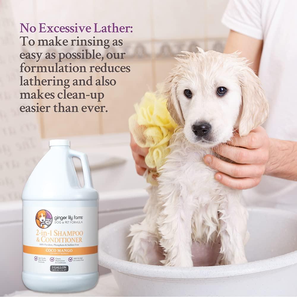 imageGinger Lily Farms Dog amp Pet Formula 2in1 Shampoo amp Conditioner 100 Vegan amp CrueltyFree Coco Mango 1 Gallon Refill 128 fl oz